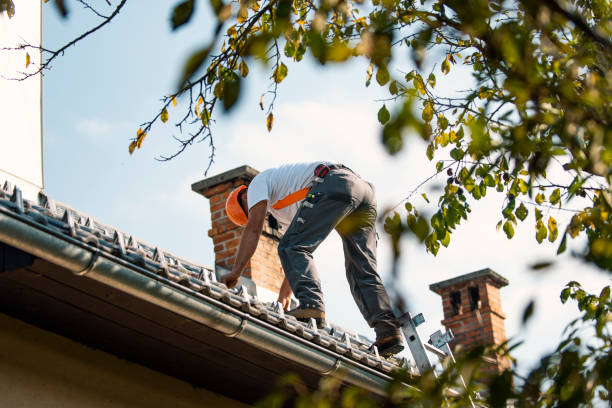 Best Roof Maintenance Services  in Madill, OK